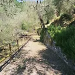 La Chouette Pieve di Teco