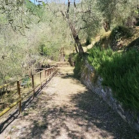 La Chouette Pieve di Teco