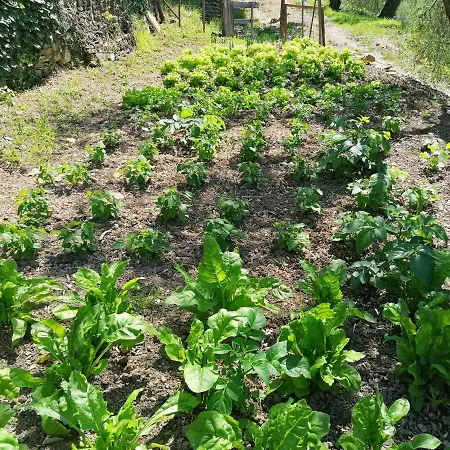 La Chouette Bed & Breakfast