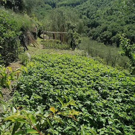 La Chouette Frühstückspension 3*