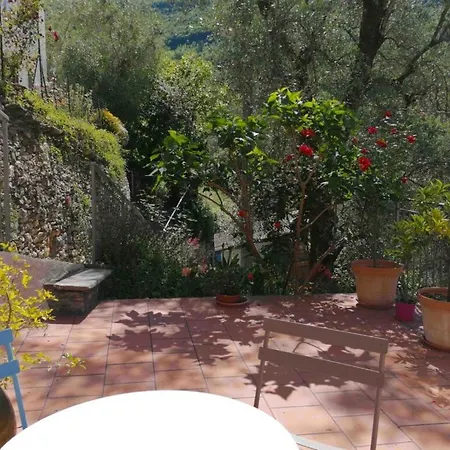 La Chouette Couette-café Pieve di Teco