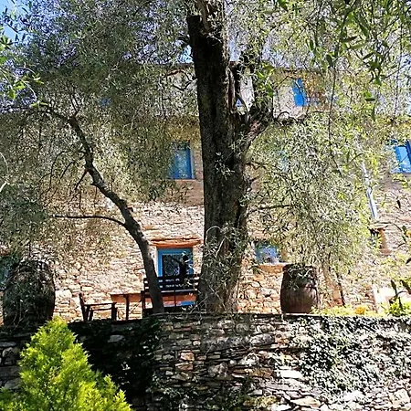 La Chouette Pieve di Teco