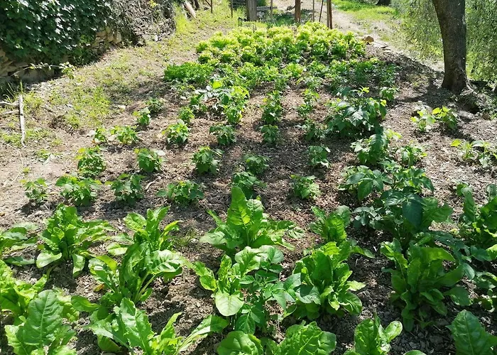 La Chouette Bed & Breakfast