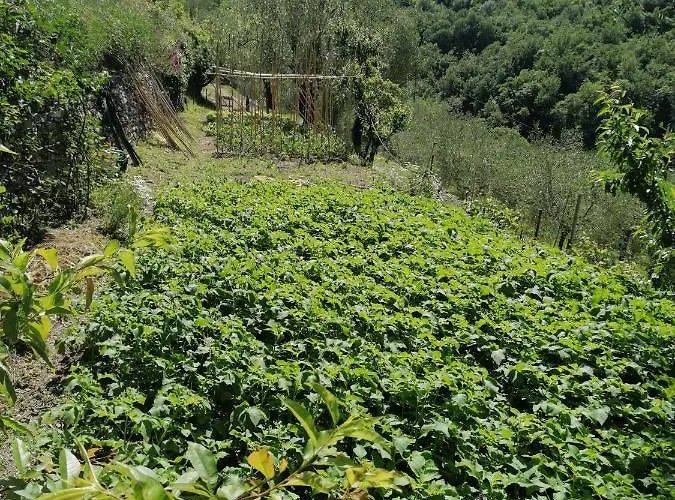 La Chouette Bed & Breakfast 3*