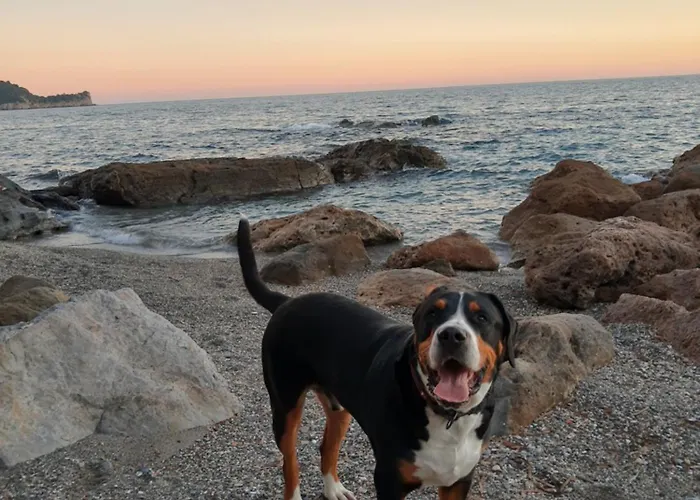 La Chouette Bed & Breakfast